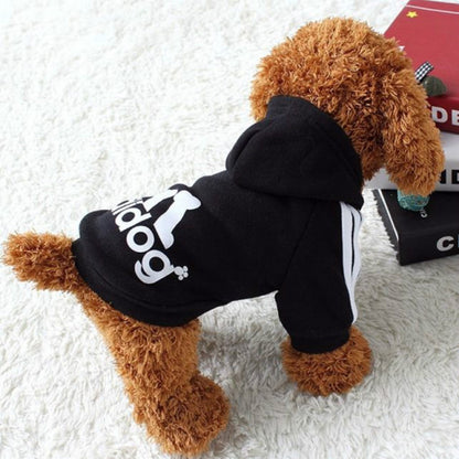 Pet Sweatshirt for Dogs