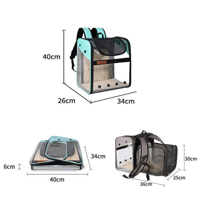 Cat Expandable Backpack