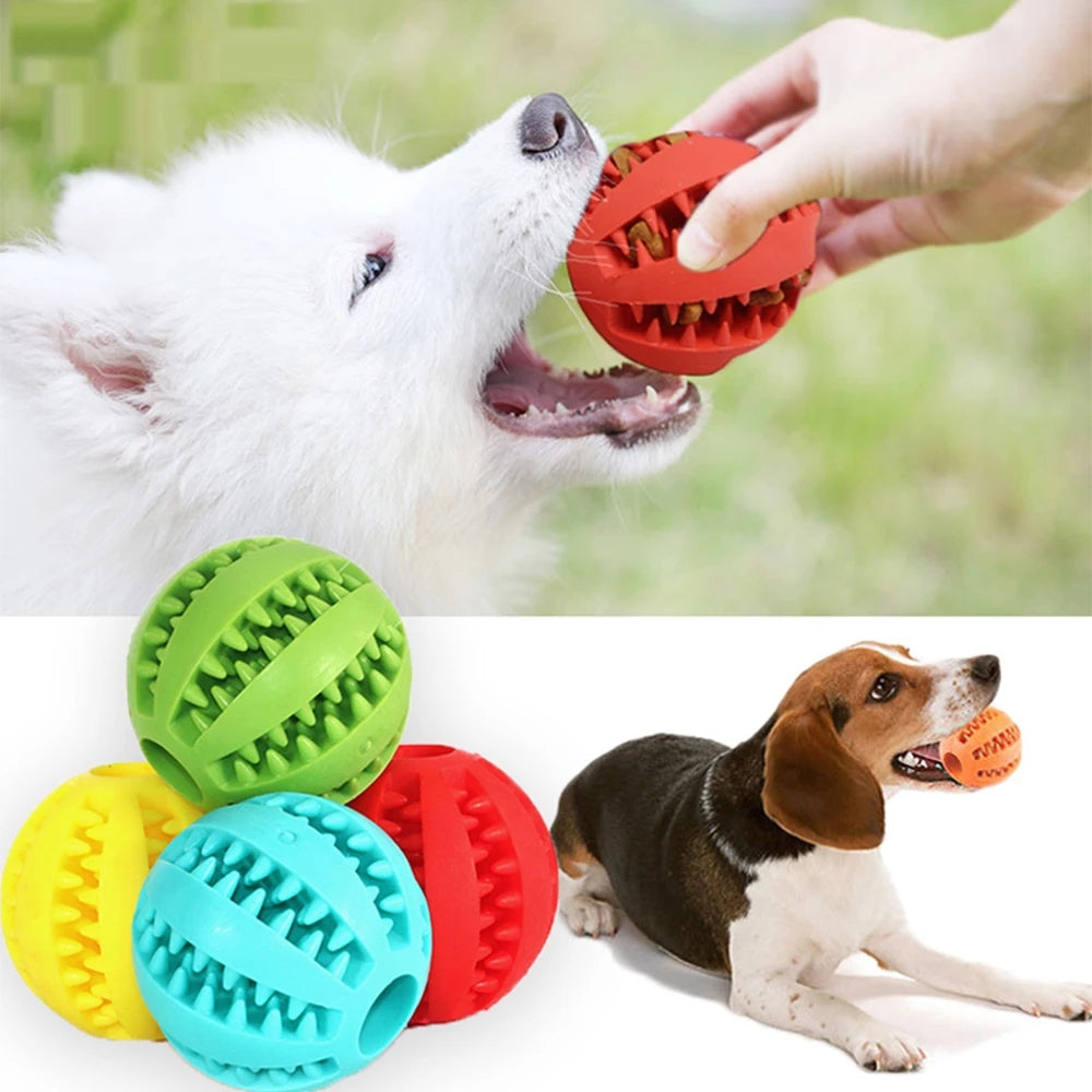 Fun Dog Chew Toy