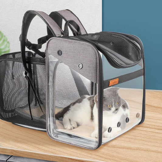 Cat Expandable Backpack