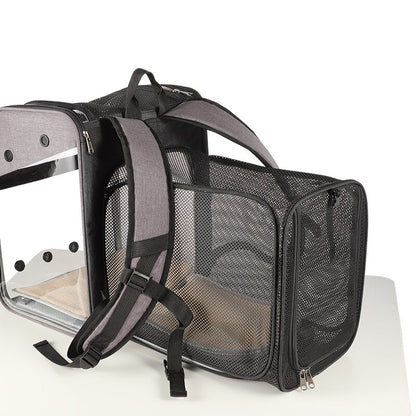 Cat Expandable Backpack