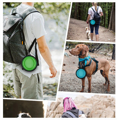 Colorful Pet Bowls for dogs or cats